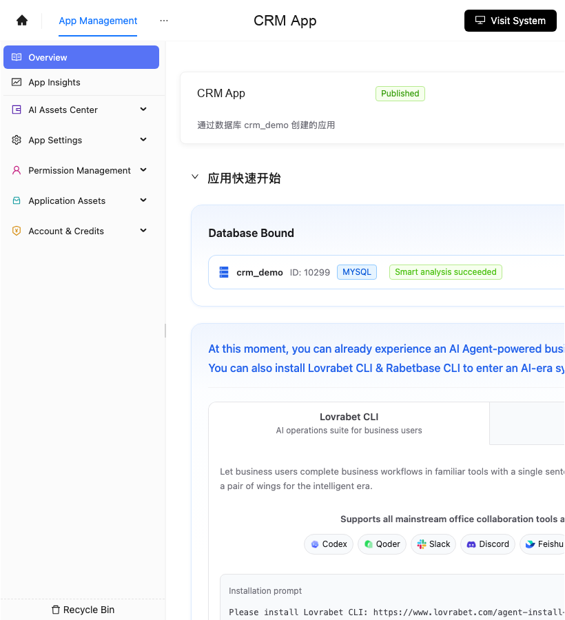 CRM 应用创建完成后的管理入口